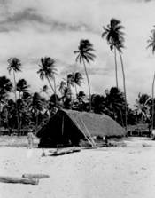 Foto preta e branca de uma praia

O conteúdo gerado por IA pode estar incorreto.