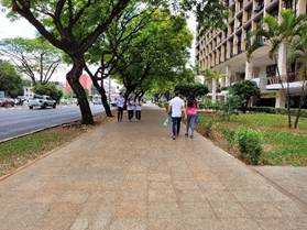 Un grupo de personas caminando en una plaza

Descripción generada automáticamente